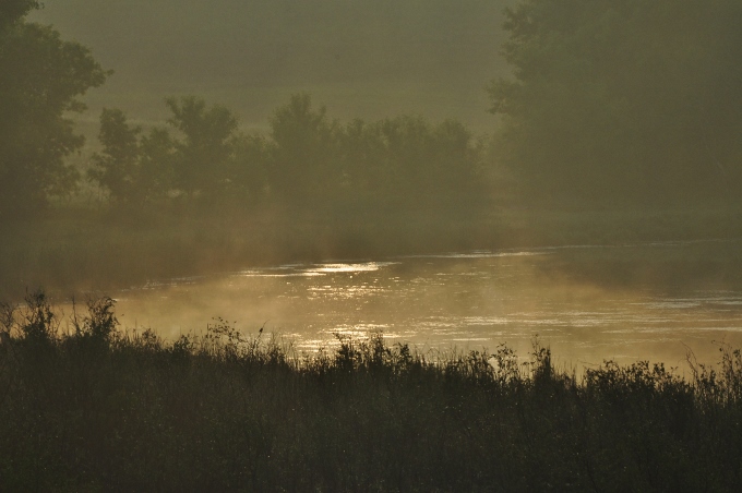 Pond View's pond